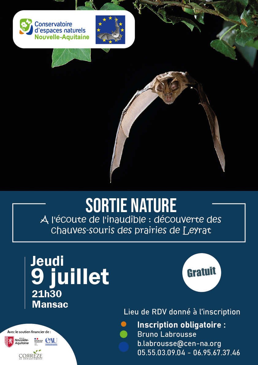 Découverte des chauves-souris des prairies de Leyrat - Jeudi 9 juillet - Mansac