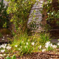 Place de la Halle 2026 © Xavier Harismendy - Ville de Brive-71