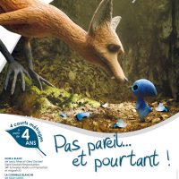 PAS PAREIL... ET POURTANT !